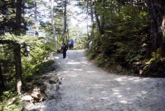 白い砂の山道