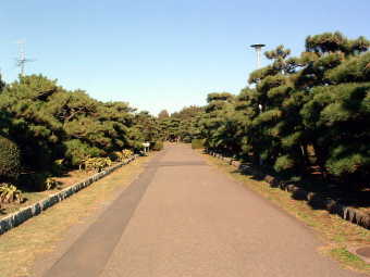 城ヶ島公園