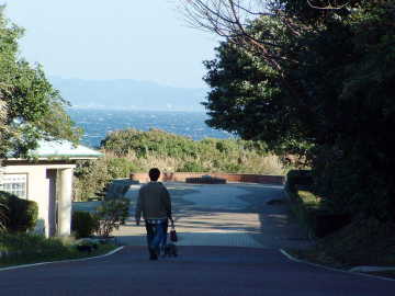 城ヶ島公園