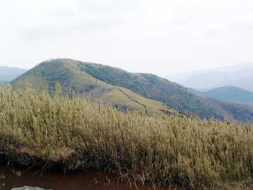 明神ヶ岳への尾根道