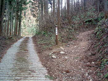 いよいよ山道