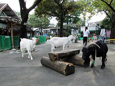 東板橋公園