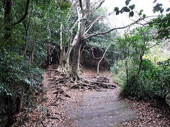 葛原ヶ岡ハイキングコース