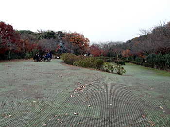 公園広場