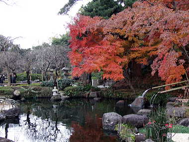 長谷寺にて