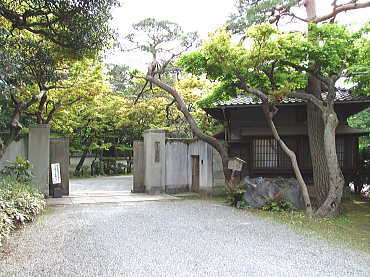 蕉雨園