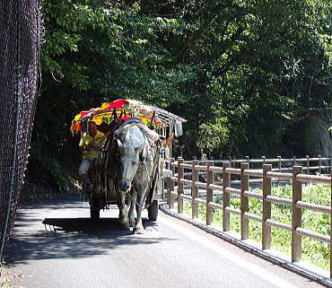 トテ馬車