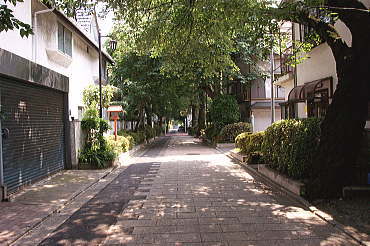 氷川神社参道