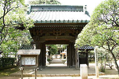 三宝寺山門