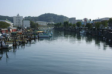 夫婦橋からの風景