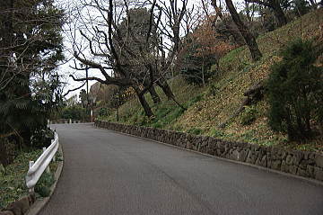 つづら折りの坂道を登る