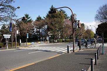 横断歩道を渡る