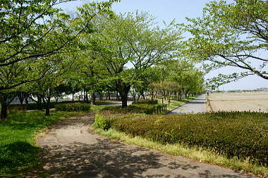 歩道と自転車道