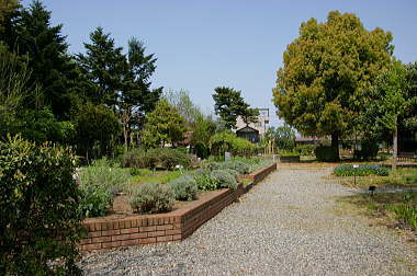 薬用植物園