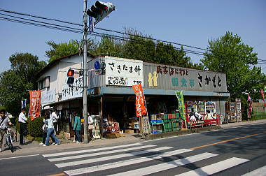 県道行田・蓮田線