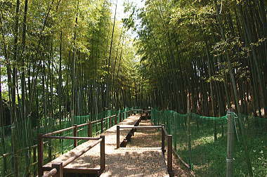 見沼通船堀公園内