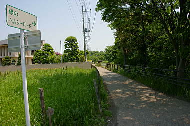 見沼通船堀沿いを歩く