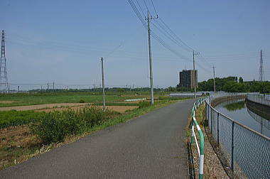 見沼代用水沿いを進む