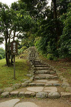 富士見山へ