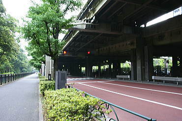 目の前の横断歩道を渡る