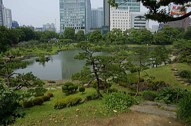 大山からの眺め