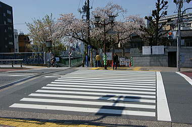 駅前の本郷通りを渡る