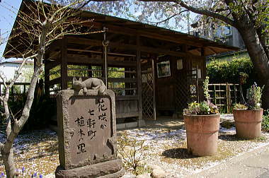 小さな自然公園でひと休み