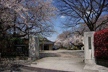 天理教東京教務支庁