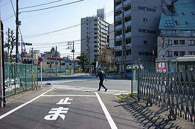 左折して国道17号へ