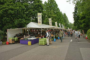 イベント開催中！