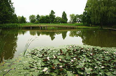 水生植物園