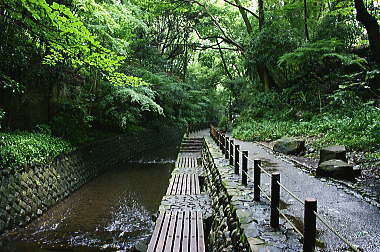 遊歩道を進む