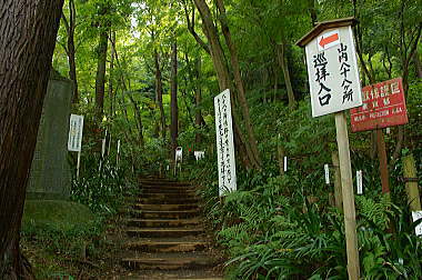 小高い山を巡る