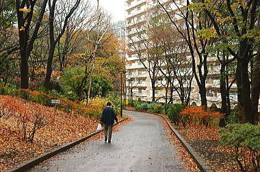 都立戸山公園