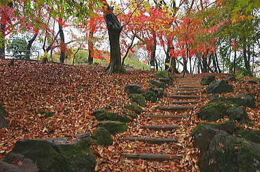 箱根山山頂への急登