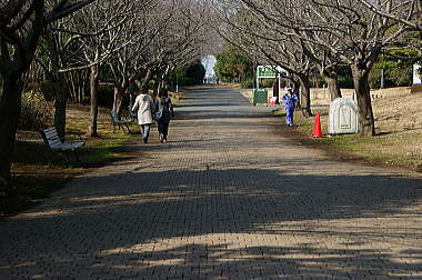 公園の散策路