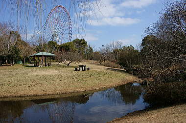 芝生広場