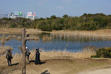 上の池