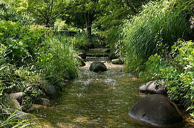 小川も流れてます