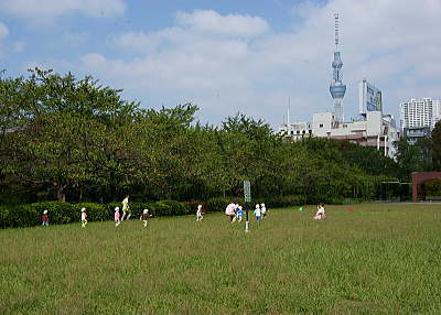 猿江恩賜公園 北側地区