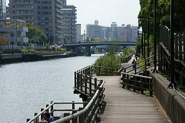 横十間川の遊歩道