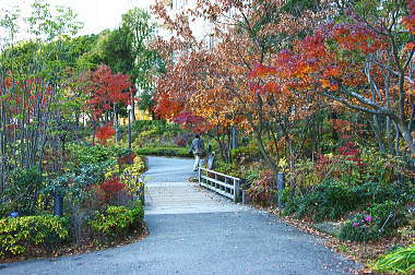 檜町公園へ