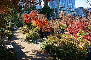 檜町公園を歩く