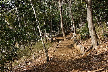 堀之内緑地散策路