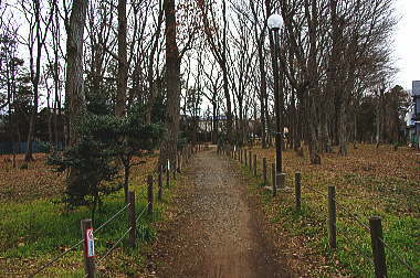 じゅん菜池緑地に到着