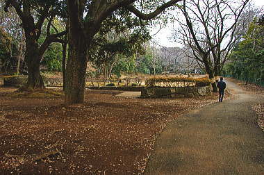 いよいよ里見公園へ