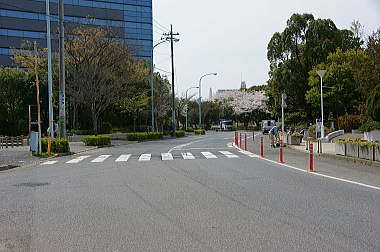 親水公園への道