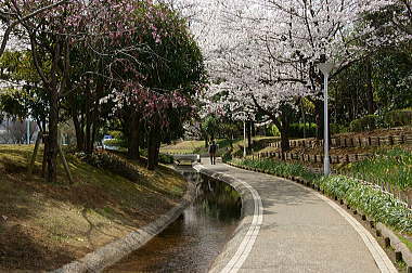 新長島川親水公園