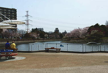 新左近川親水公園