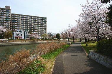 川沿いに進む